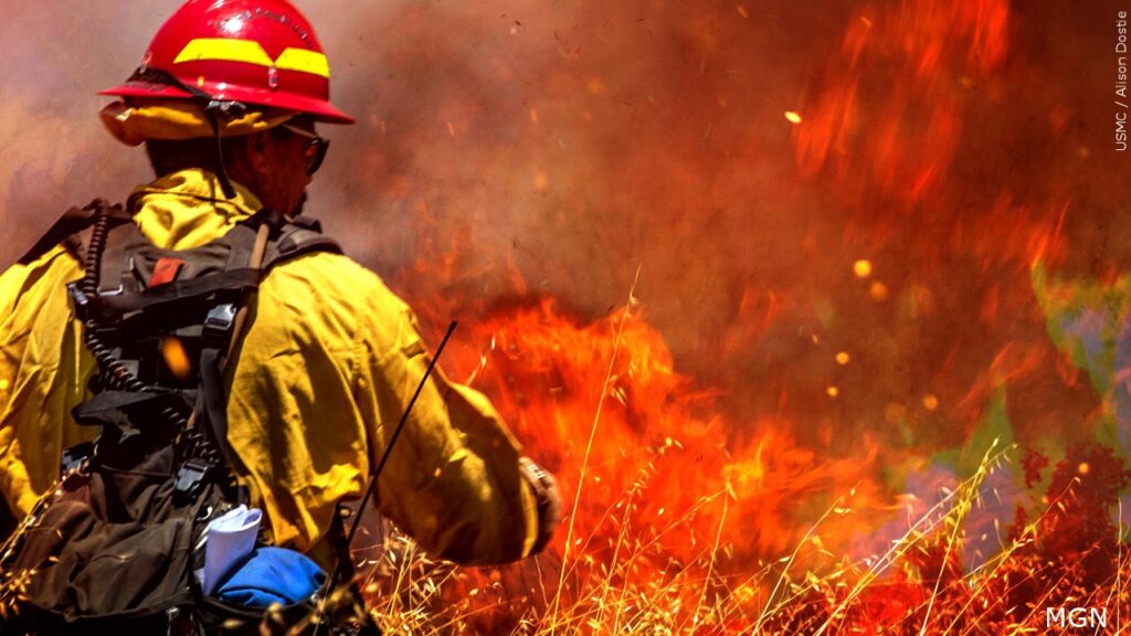 Día Mundial De La Prevención De Incendios Forestales