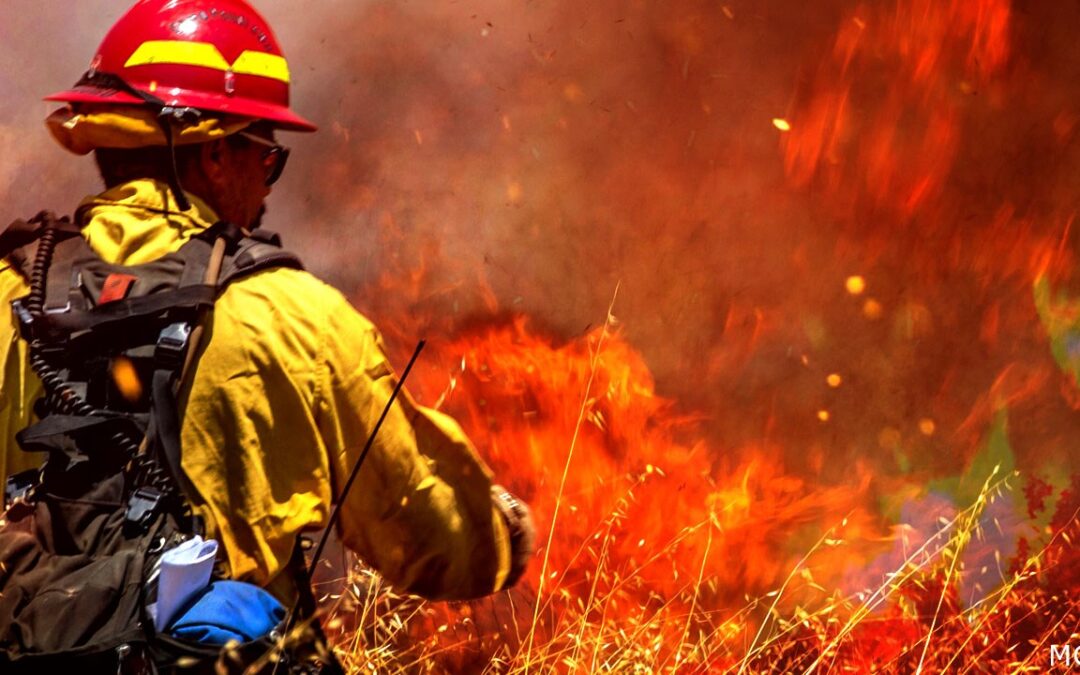 Día mundial de la prevención de incendios forestales