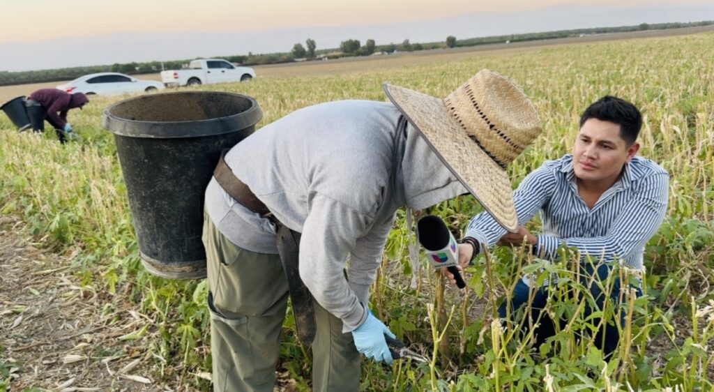 “Trabajo En La Oscuridad Por Miedo A Ice”