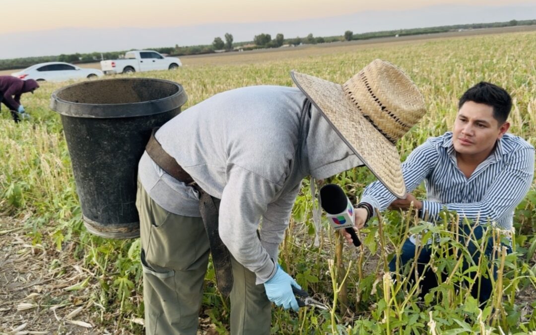 “Trabajo en la Oscuridad por Miedo a ICE”