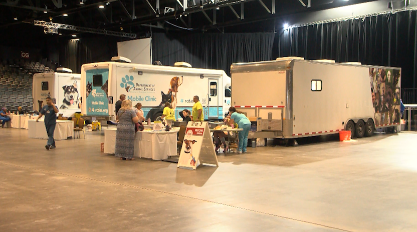 Evento de Adopción y Clínica Veterinaria a Bajo Costo en Fantasy Springs