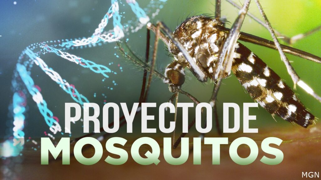 Cómo Proteger A Nuestra Comunidad Del Valle De Coachella Contra Los Mosquitos - Noticias Notivalle Cómo Proteger A Nuestra Comunidad Del Valle De Coachella Contra Los Mosquitos