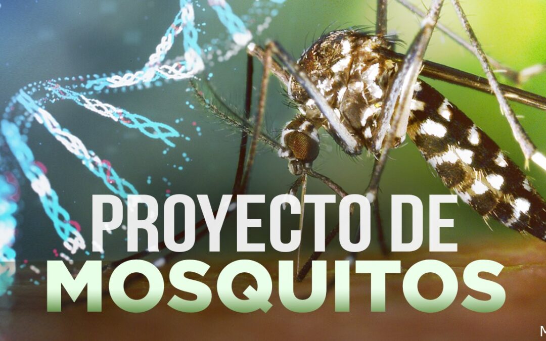 Cómo Proteger a Nuestra Comunidad del Valle de Coachella Contra los Mosquitos