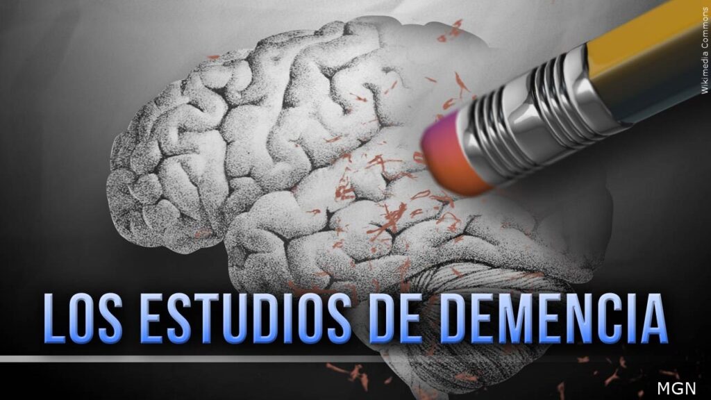 Lo Que Debes Saber Sobre El Alcohol Y La Demencia - Noticias Notivalle Lo Que Debes Saber Sobre El Alcohol Y La Demencia