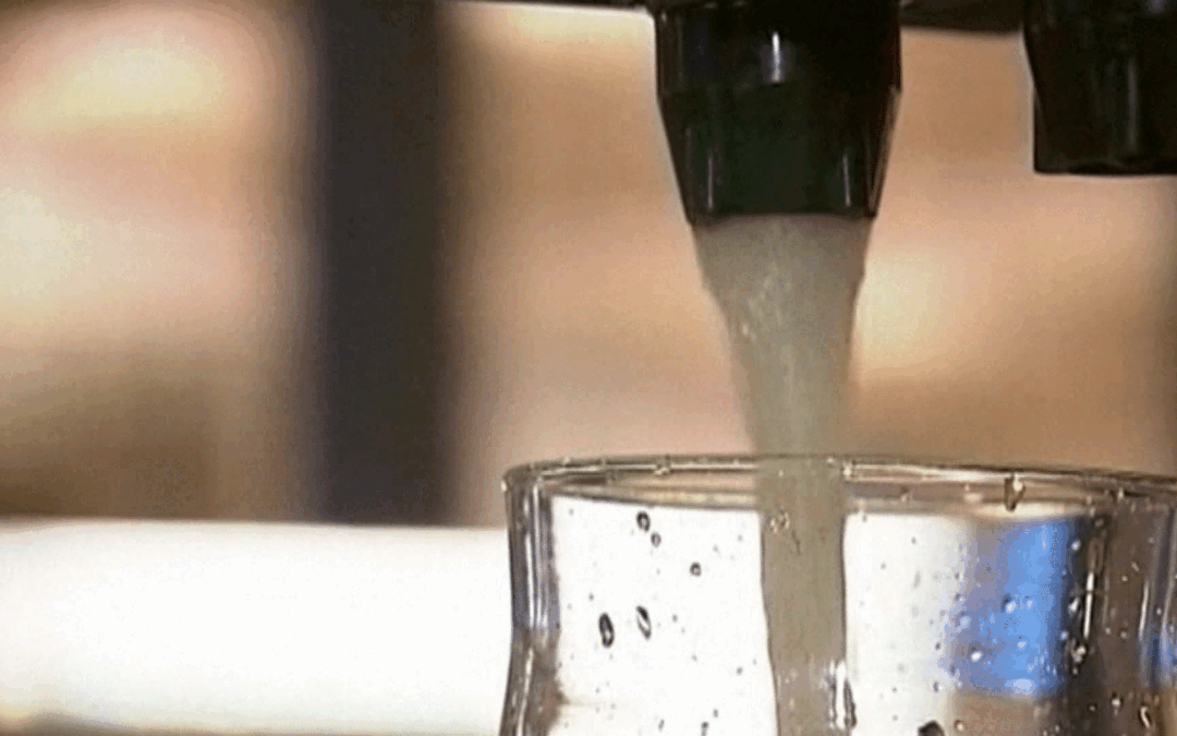 ¿Refrescos light dañinos? Un nuevo estudio pone en duda su “inocuidad”