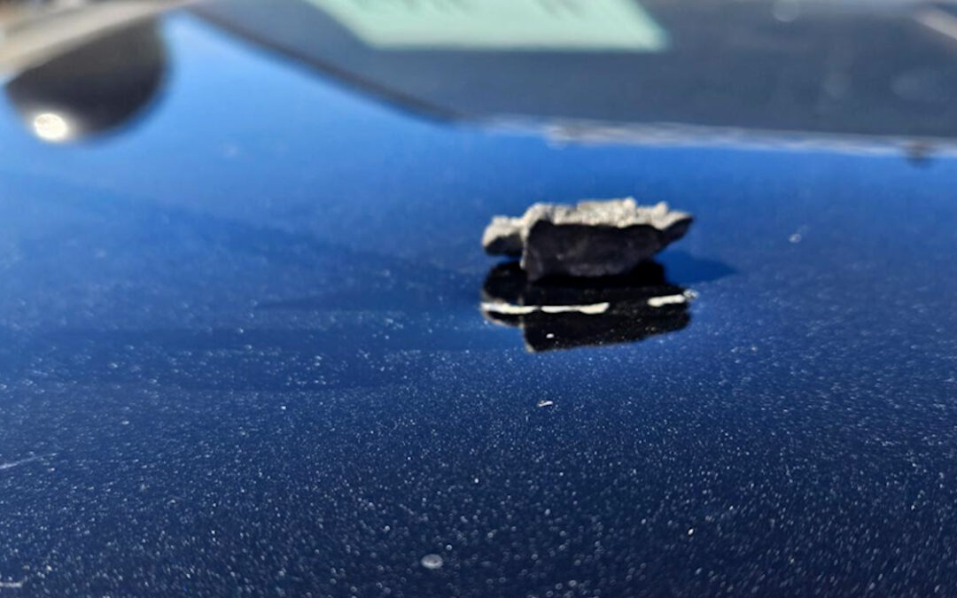 Incidente en la I-5: Munición de Entrenamiento Afecta Vehículo de la Patrulla de Caminos de California