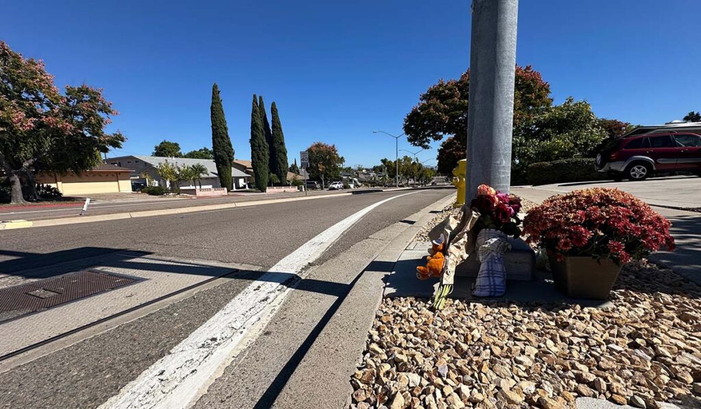 Tragedia En San Diego: Menores Atropellados En Accidente En Lake Murray