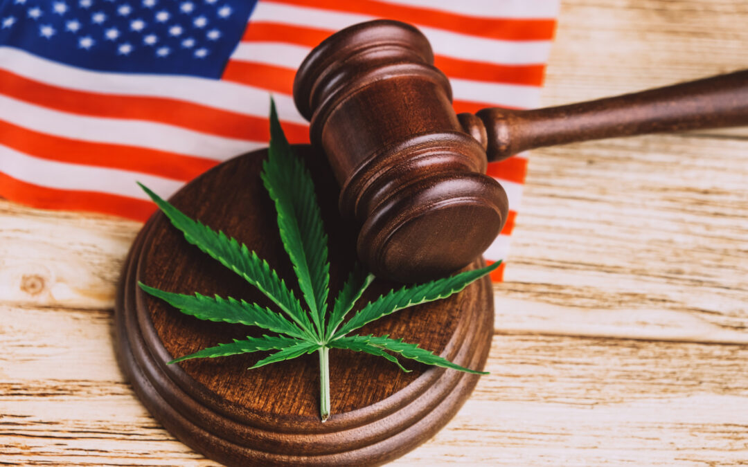 Corte Suprema Determina Derechos Constitucionales: ¿Pueden Consumidores de Marihuana Poseer Armas?