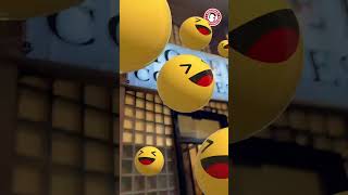 Operativo En Tijuana: Ejército Mexicano Asegura Inmueble Con Sustancias Nocivas - Noticias Notivalle