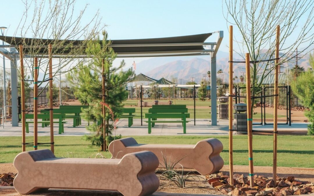 Arte, cultura y esperanza florecen en Dream Homes gracias a una nueva subvención estatal