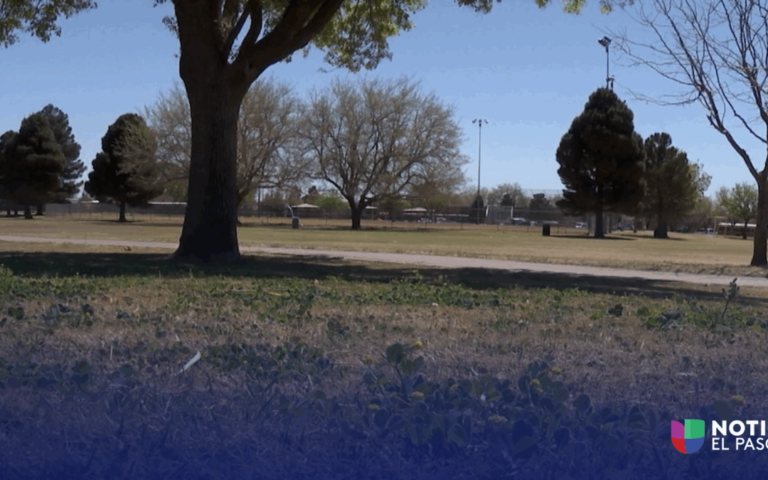 Participe en la Encuesta de Parques El Paso para Mejorar la Calidad de Vida