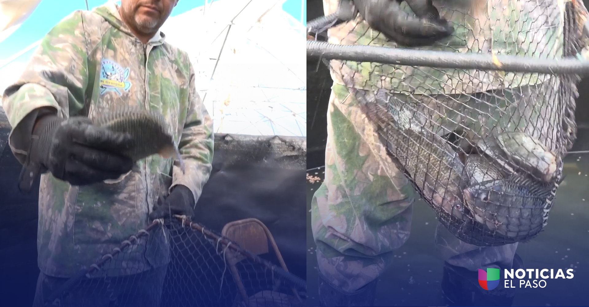 JZ-PECES-EN-EL-DESIERTO-SALAMAYUCA