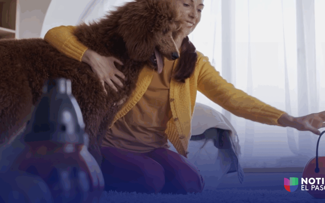 Consejos Esenciales para Mantener a tus Mascotas Seguras Durante Halloween en El Paso