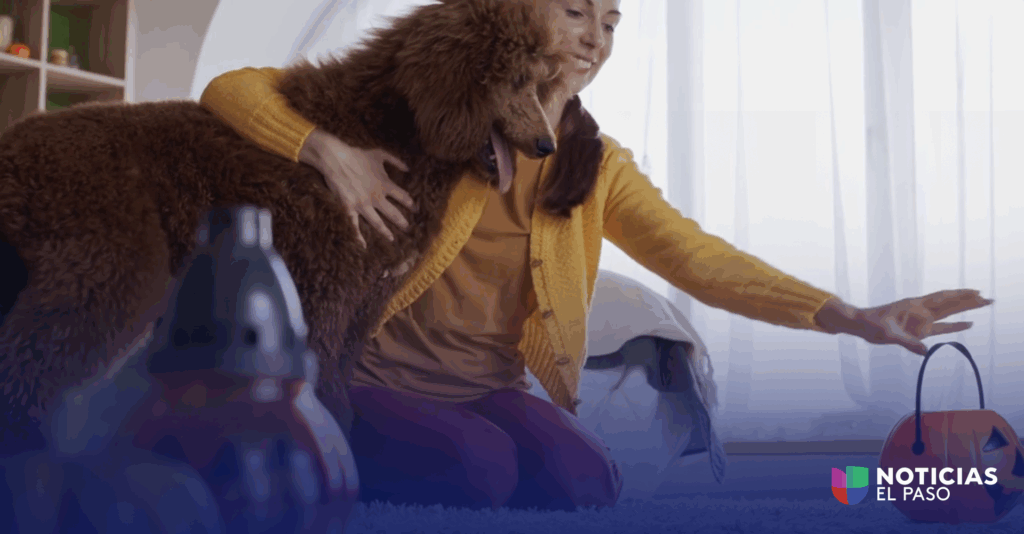 Consejos Para Mantener A Tus Mascotas Seguras Durante Halloween En El Paso