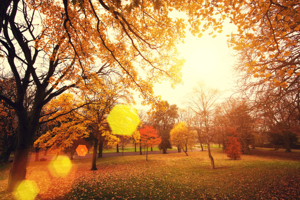 La Luz Solar En Denver: ¿Cuánto Tiempo Perdemos Cada Día Hasta El Invierno? - Noticias Notivalle La Luz Solar En Denver: ¿Cuánto Tiempo Perdemos Cada Día Hasta El Invierno?