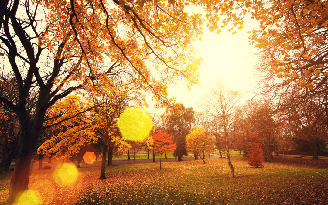 La Luz Solar en Denver: ¿Cuánto Tiempo Perdemos Cada Día Hasta el Invierno?