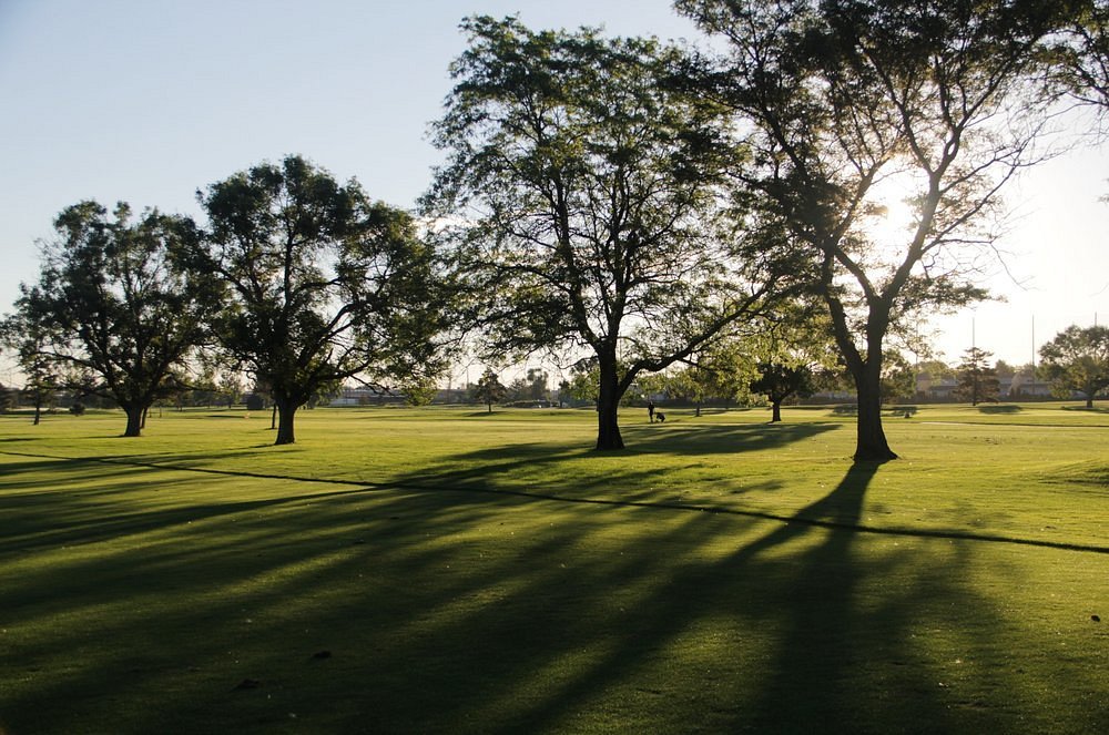 Inauguración de Park Hill Park: Un Nuevo Espacio Verde para Denver