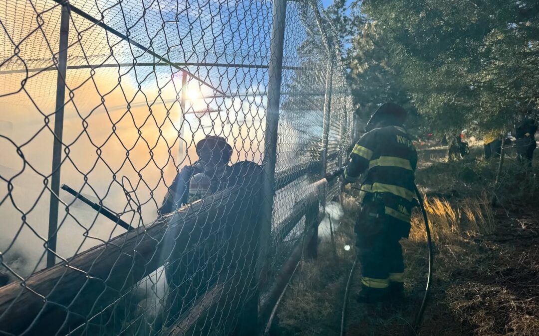 Cuidador Héroe Rescata Animales Durante Incendio en Boulder, Flagstaff Road