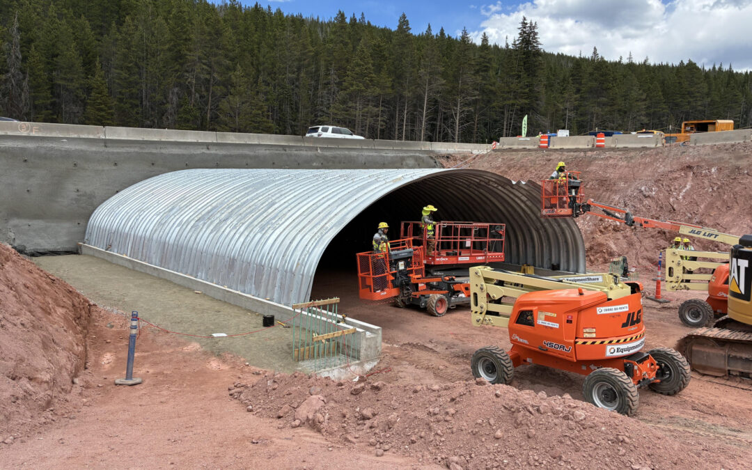 Avances del Proyecto I-70 West Vail Pass: Puente y Carril Auxiliar Mejoran la Seguridad Vial