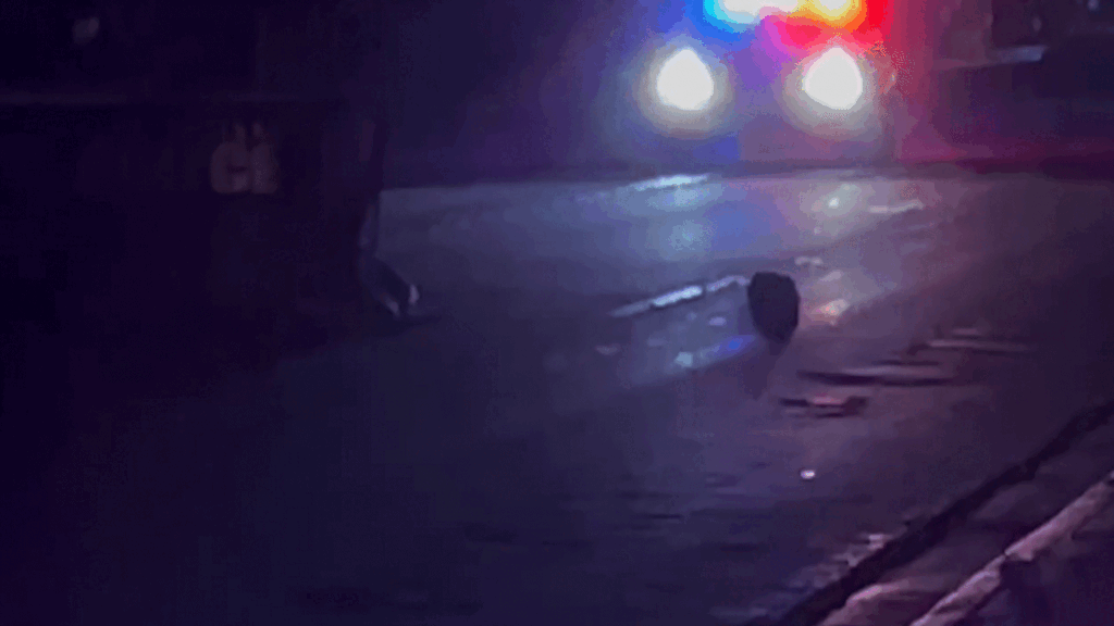 Motociclista Muere Tras Chocar Contra Camión De Basura En Sky Valley