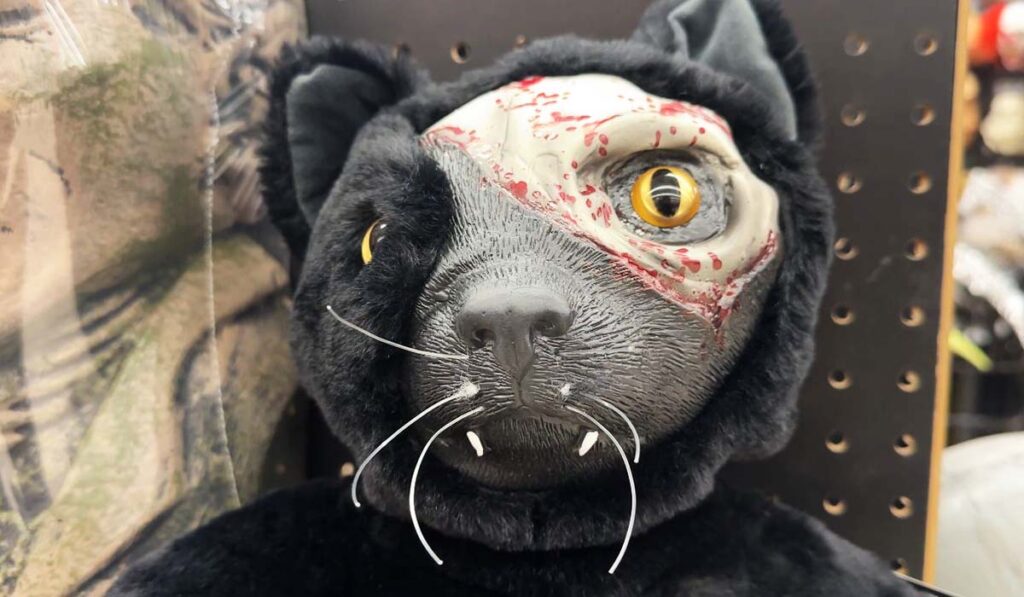 Precios Halloween Elevados Y Seguridad: Lo Que Debes Saber En San Diego