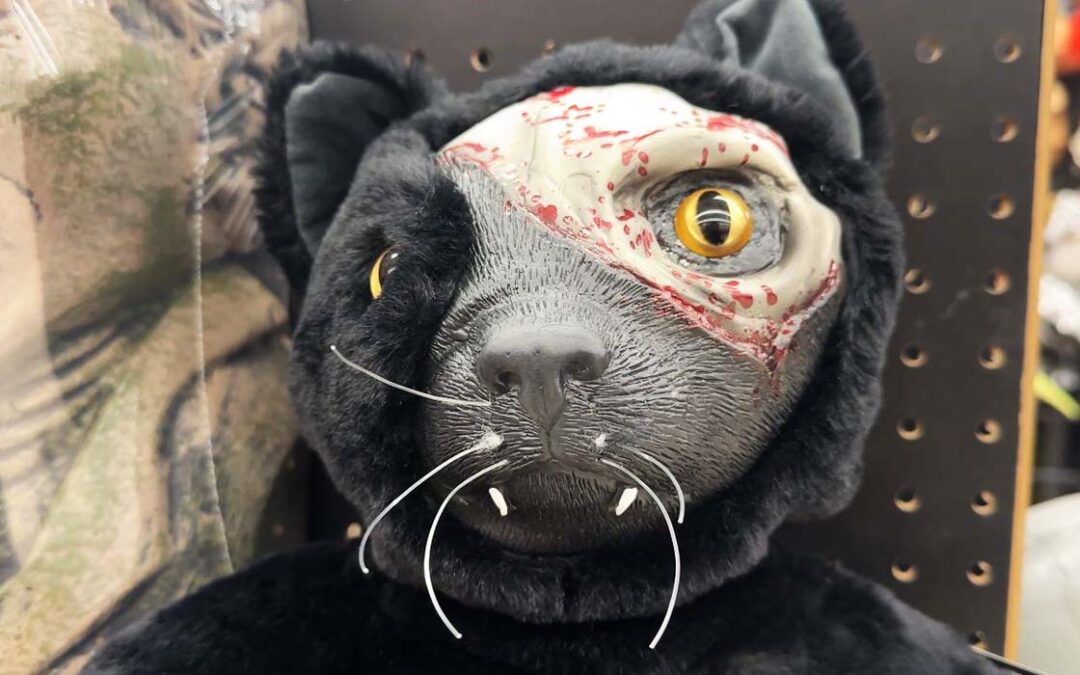 Precios Halloween Elevados y Seguridad: Lo Que Debes Saber en San Diego