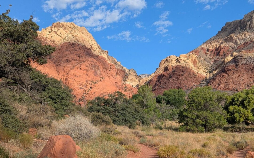 Senadora Jacky Rosen Critica Propuesta de Trump Sobre Reanudación de Pruebas Nucleares en Nevada