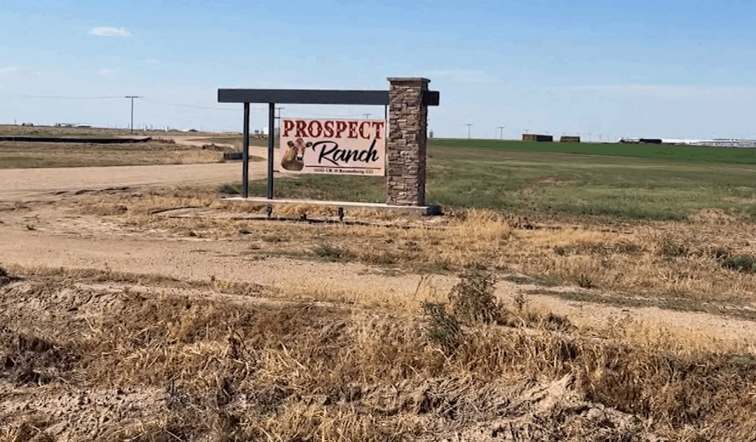 Tragedia en Weld County: Seis Muertos por Exposición a Gas Tóxico en Operación Lechera