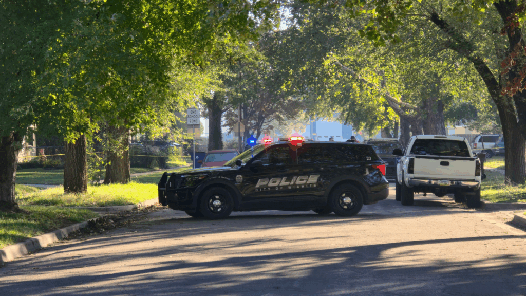 Violencia Doméstica En Wichita: Mujer De 81 Años Apuñalada En Su Hogar