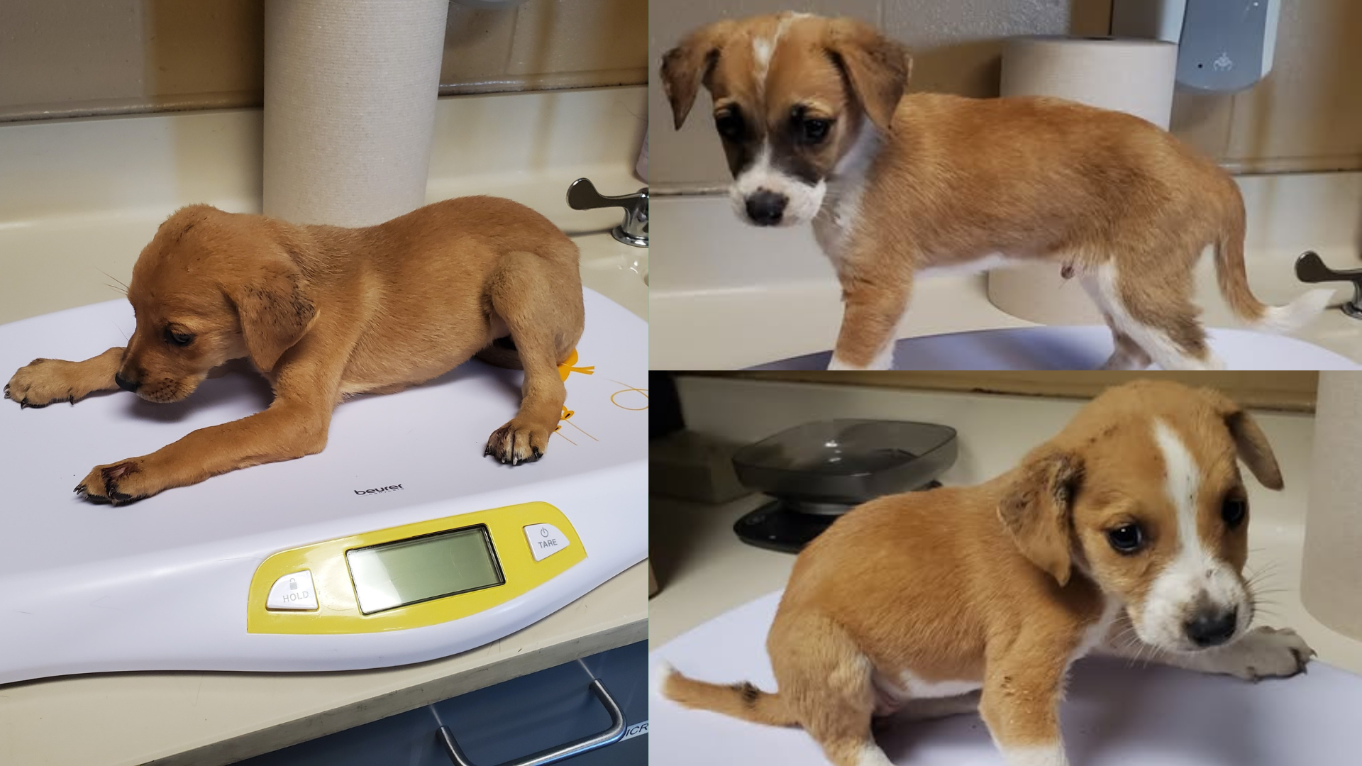 NOTICIAS-UNIVISION-KANSAS-4-1