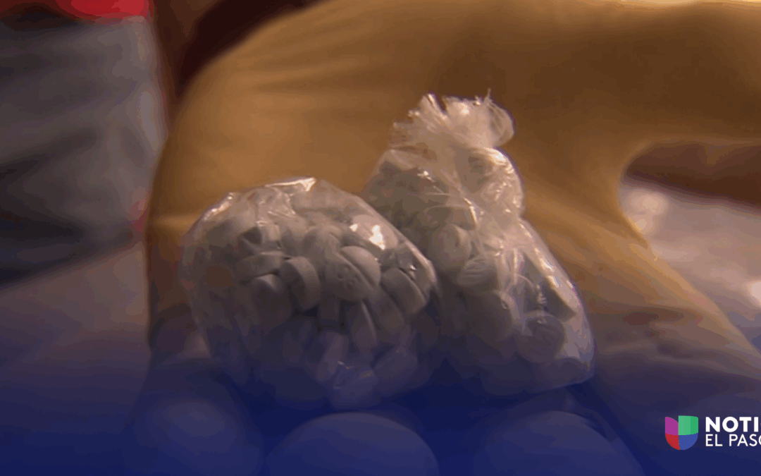 Nueva Fuerza Especial Federal para Desmantelar Cárteles y Frenar la Violencia en la Frontera