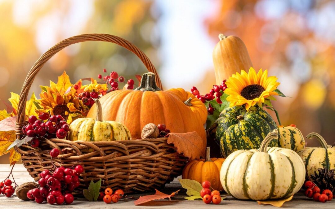 Cenas de Thanksgiving: Ofertas Económicas de Amazon, Walmart y Aldi en un Contexto de Crisis Alimentaria