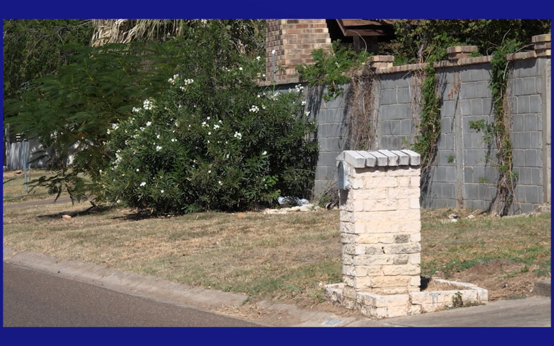 Tiroteo en Laredo: Menores detenidos tras incidente armado