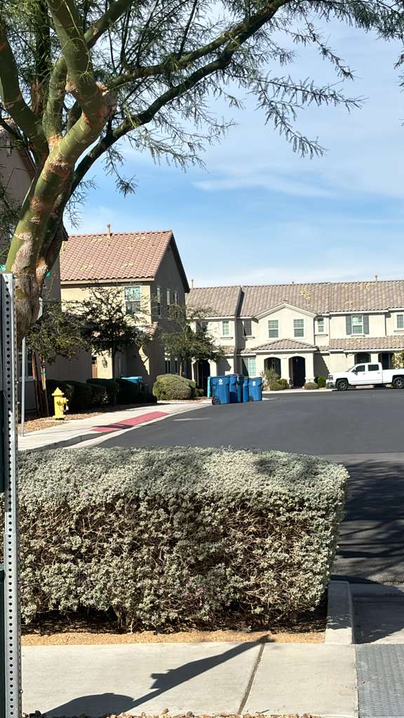 WhatsApp-Image-2025-11-05-at-11.56.17-AM