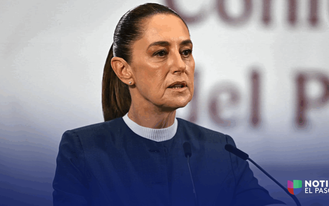 Claudia Sheinbaum Denuncia Caso de Acoso Sexual: Expertos Hablan sobre la Seguridad Presidencial