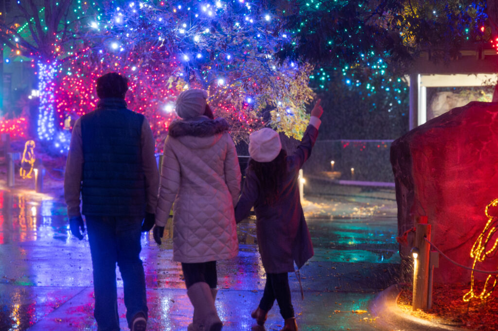 Descubre La Magia De La Navidad: Compra Tus Boletos Para Zoo Lights Denver 2025 - Noticias Notivalle Descubre La Magia De La Navidad: Compra Tus Boletos Para Zoo Lights Denver 2025