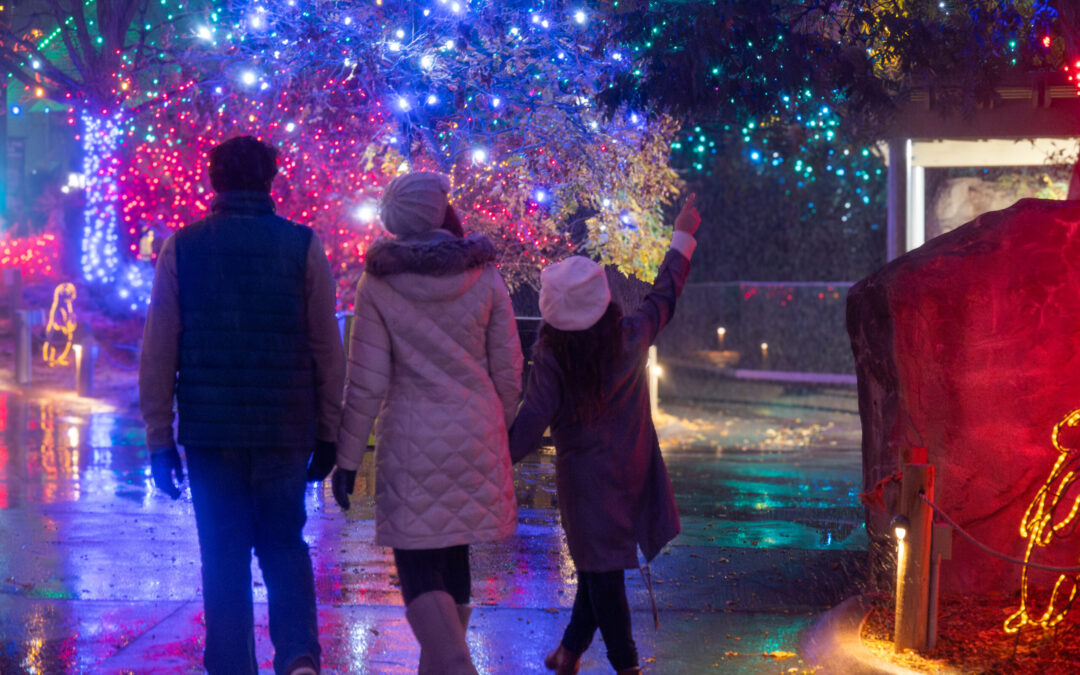 Descubre la Magia de la Navidad: Compra Tus Boletos para Zoo Lights Denver 2025