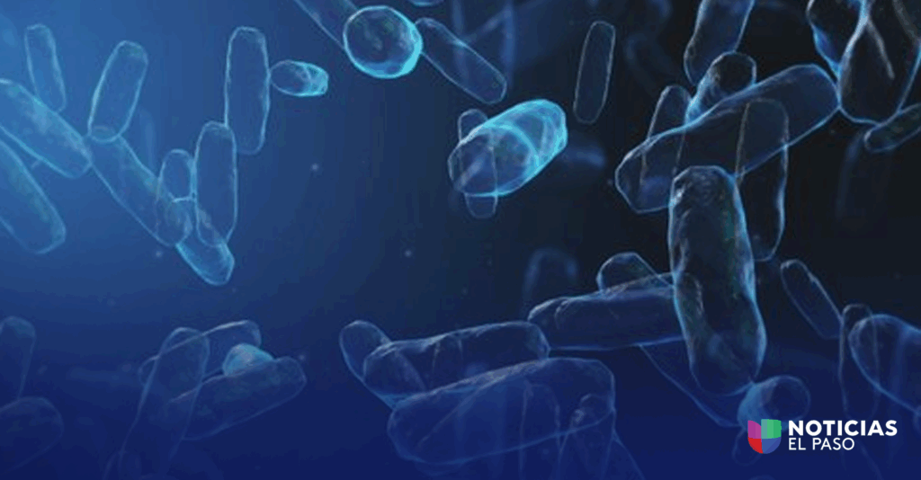 E. Coli Detectado En Agua Subterránea De El Paso: Seguridad De La Comunidad Asegurada - Noticias Notivalle E. Coli Detectado En Agua Subterránea De El Paso: Seguridad De La Comunidad Asegurada