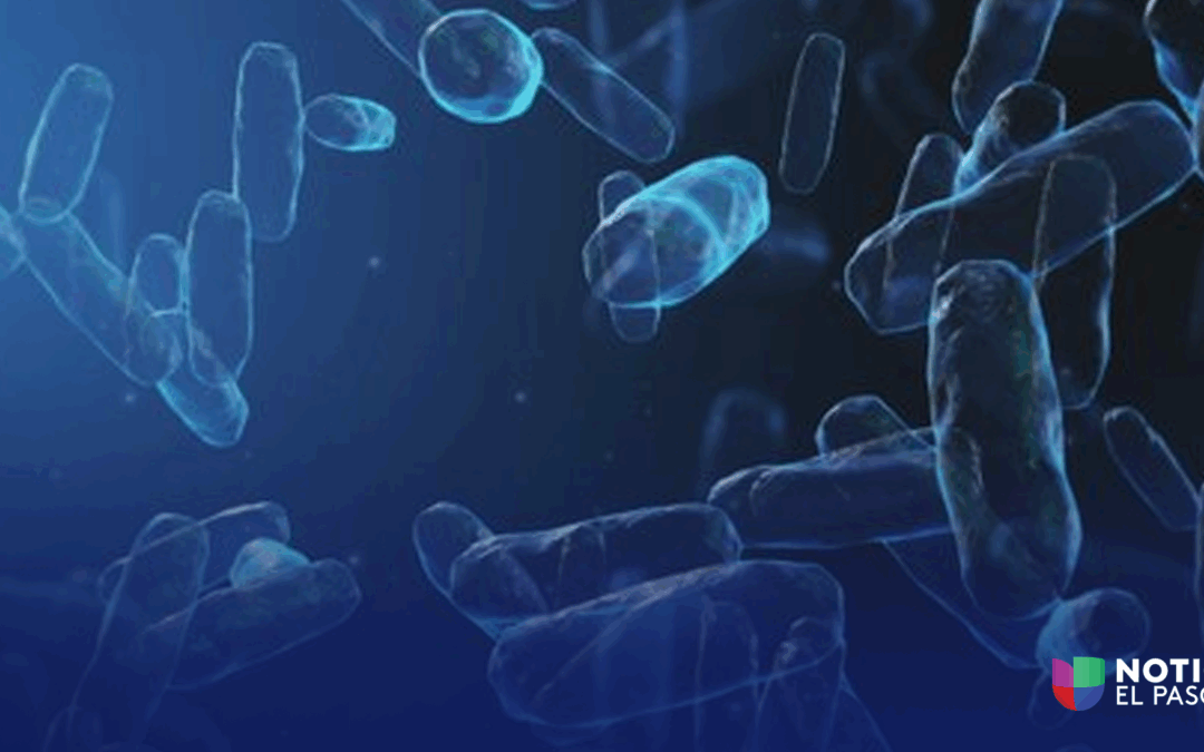 E. coli Detectado en Agua Subterránea de El Paso: Seguridad de la Comunidad Asegurada