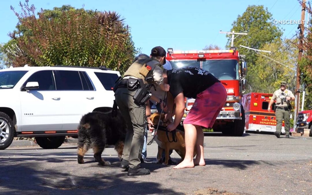 Bomberos en Vista Rescatan a Dos Perros de un Incendio Estructural