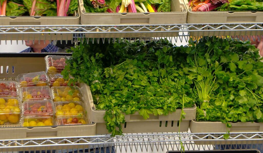 Gobierno Federal Reabre: Programas Clave Y Beneficios De Calfresh Vuelven A La Normalidad