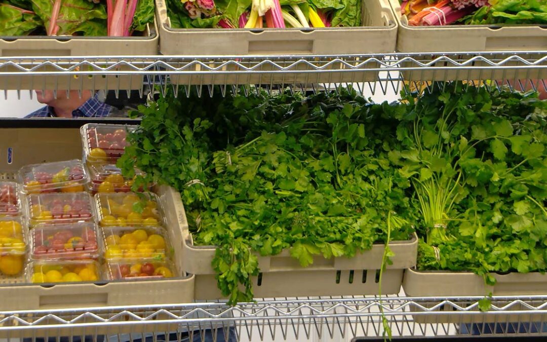 Gobierno Federal Reabre: Programas Clave y Beneficios de CalFresh Vuelven a la Normalidad