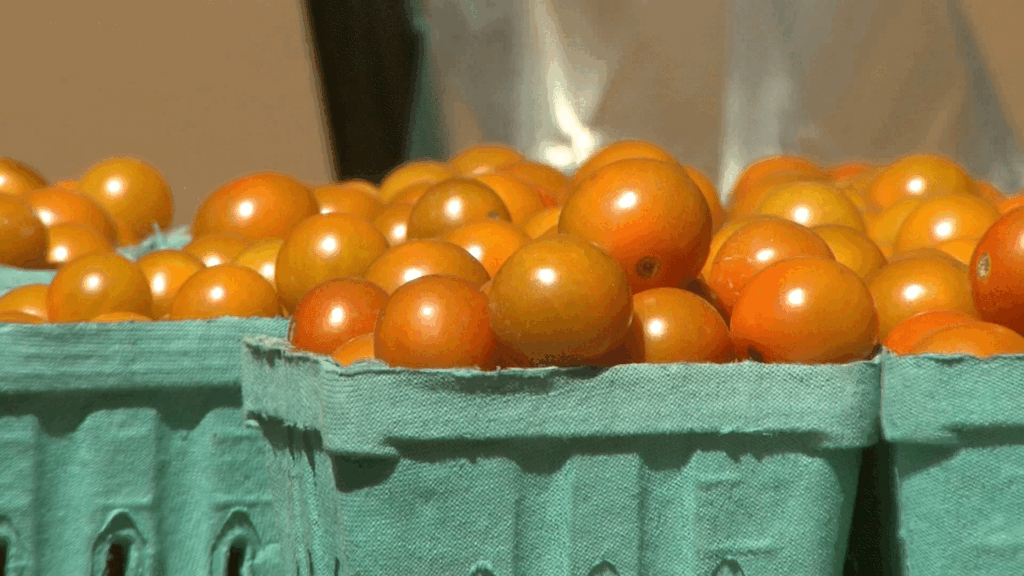 Trump Reduce Aranceles A Importaciones Agrícolas Para Frenar Precios De Alimentos