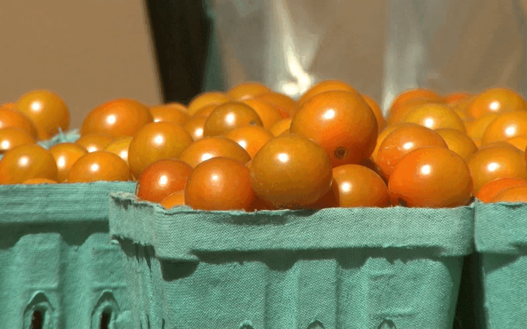 Trump Reduce Aranceles a Importaciones Agrícolas para Frenar Precios de Alimentos