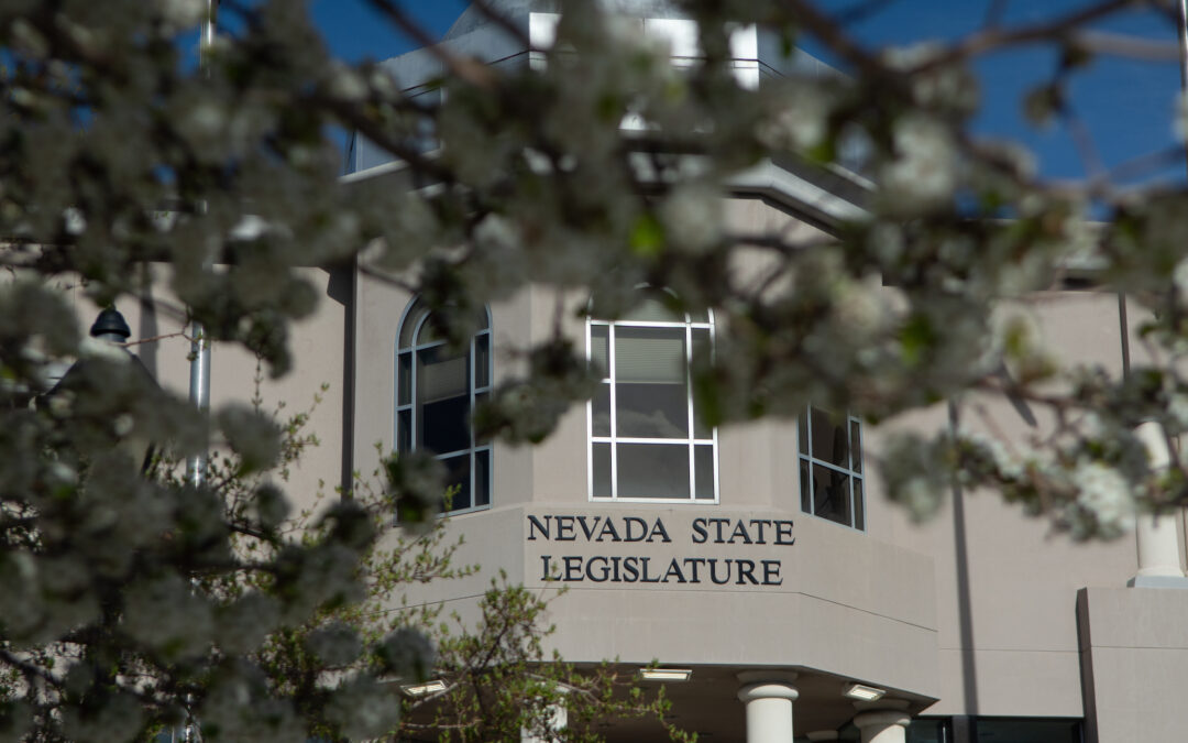 Inmigrantes en Nevada: La Coalición Exige Medidas Urgentes para Proteger Derechos Humanos
