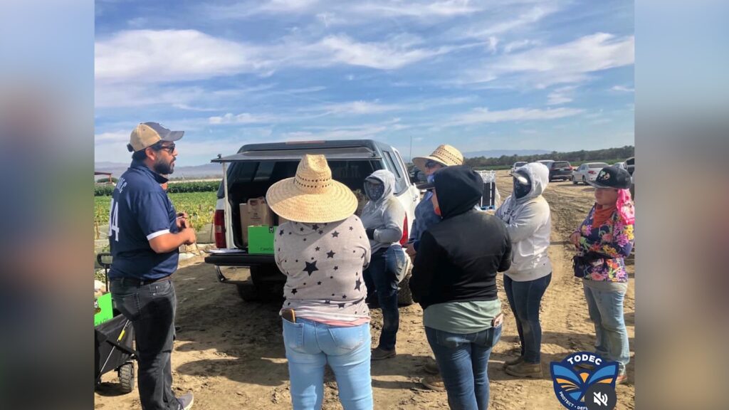 ¿Qué Hacer Si Tengo Un Encuentro Con Ice?