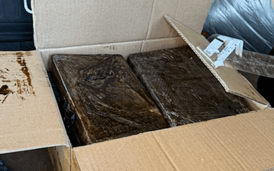 Fentanilo: Patrulla Fronteriza Incauta $1.9 Millones en Sierra Blanca