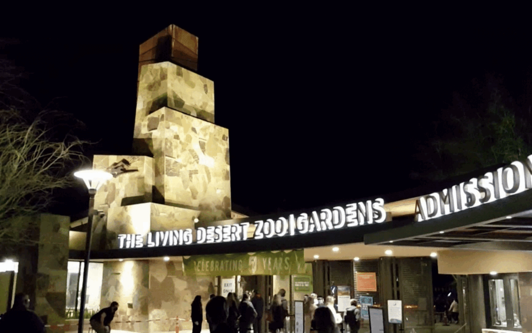 The Living Desert da inicio a la Navidad con el regreso de su famoso evento “Wild Lights”