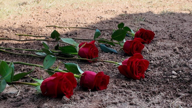 Dignidad y Humanidad: Enfrentando la Muerte de Personas sin Hogar en el Centro