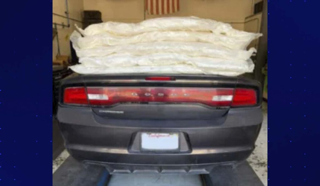 Incremento De Incautaciones De Droga En El Sector San Diego: La Lucha Contra El Tráfico De Narcóticos - Noticias Notivalle Incremento De Incautaciones De Droga En El Sector San Diego: La Lucha Contra El Tráfico De Narcóticos